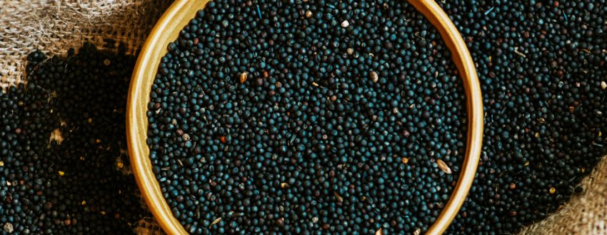 Rapeseed (906)