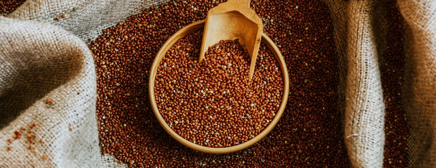 Red Millet (930)