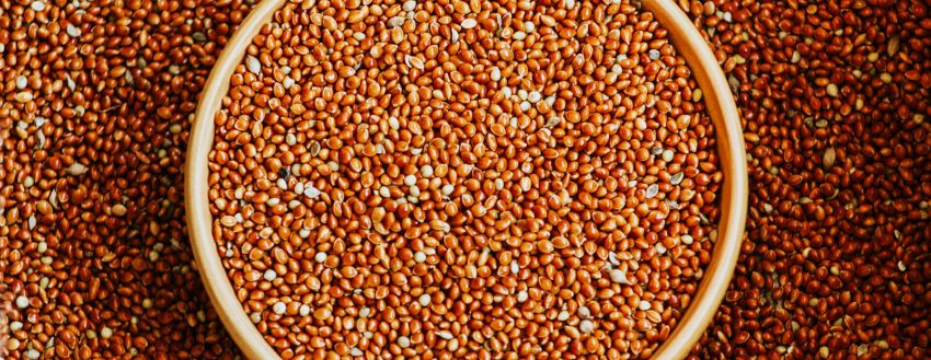 Red Millet (930)