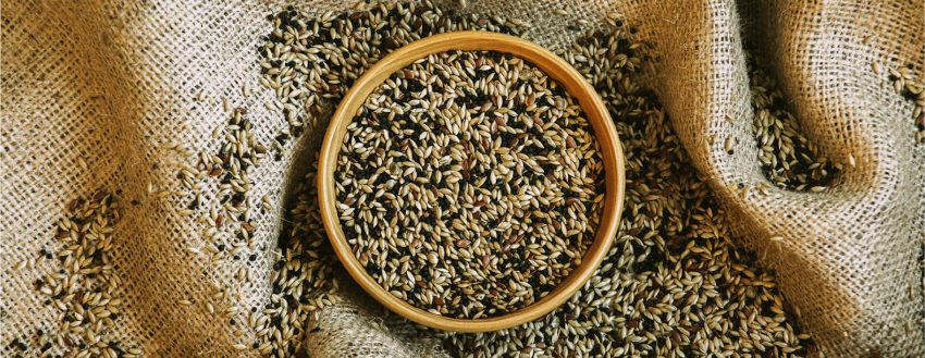 Stan. Irk Kanarya (101)