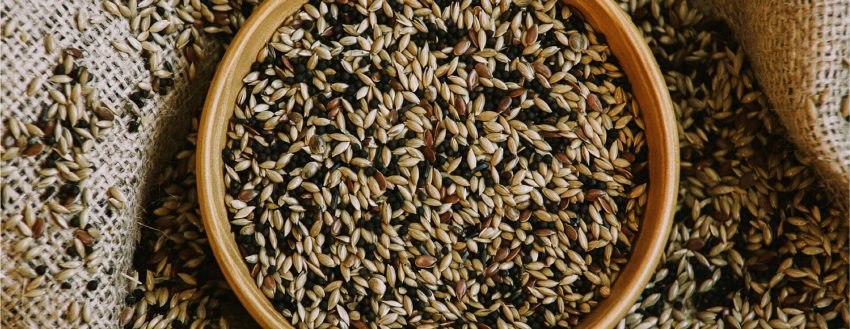 Stan. Irk Kanarya (101)