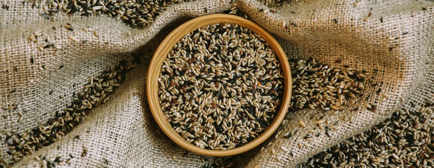 Sup Irk Kanarya (111)