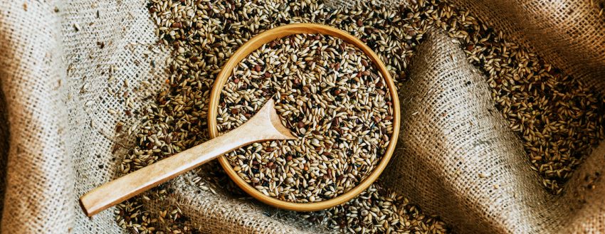 Karma Saka Yemi (117)