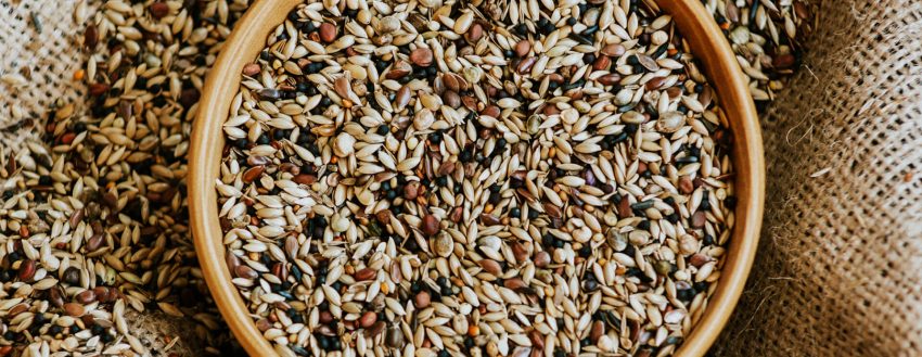 Karma Saka Yemi (117)